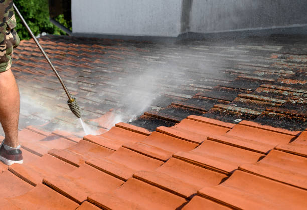 Best Residential Pressure Washing Services  in Mascoutah, IL