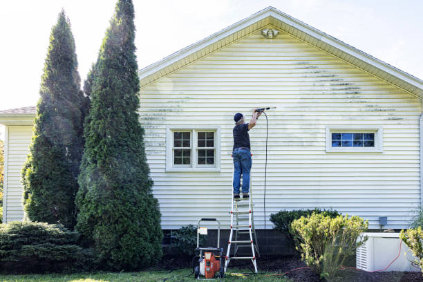 Best Deck Cleaning Services  in Mascoutah, IL