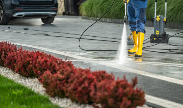 Best Roof Pressure Washing  in Mascoutah, IL